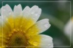 IMG_0678