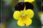 IMG_0693