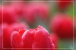 IMG_0695