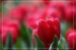 IMG_0697
