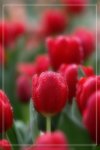 IMG_0698