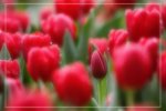 IMG_0700