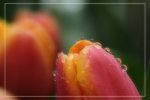 IMG_0702