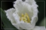 IMG_0707