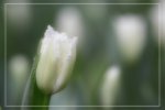 IMG_0708