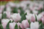 IMG_0721