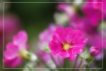 IMG_0734