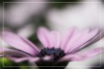 IMG_0756