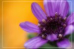 IMG_0766