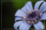 IMG_0767