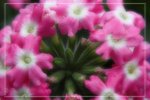 IMG_0777