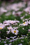 IMG_9370