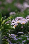 IMG_9371
