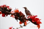 IMG_0832