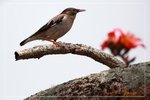 IMG_0844