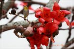 IMG_0850