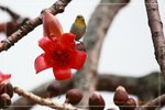 IMG_0851