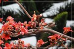 IMG_0873