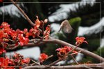 IMG_0875