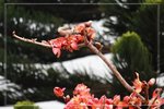 IMG_0882