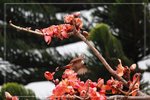 IMG_0885