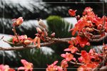 IMG_0889