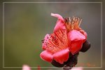 IMG_0906
