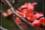 IMG_1000