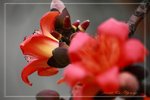 IMG_1002