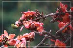 IMG_1008