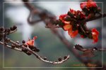 IMG_1021