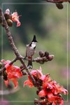 IMG_1022