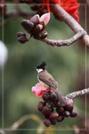 IMG_1026