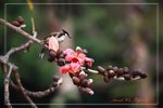 IMG_1028