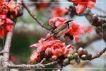 IMG_1031