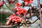 IMG_1032