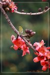IMG_1038
