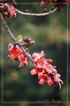 IMG_1041