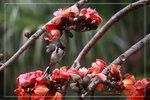 IMG_1056