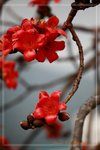 IMG_1067
