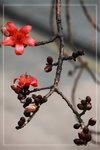 IMG_1070