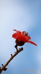 IMG_1693