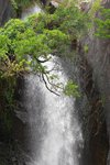 IMG_7534