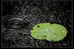 IMG_0058