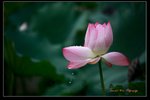 IMG_0100