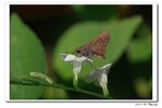 IMG_7559