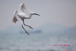 IMG_9081