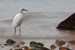 IMG_9240