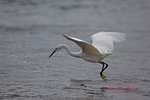 IMG_9303