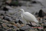 IMG_9392